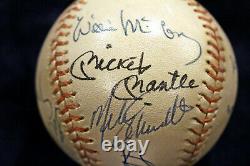 500 Home Run Club Signed Baseball 11 Auto Mantle Williams Aaron Hr Psa/dna Coa