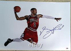 Chicago Bulls Derrick Rose Signed Auto 16x20 Metallic Photo Psa/dna Coa. Photo 1