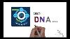 Cisco Dna Center Explained Digital Network Architecture Intent Based Networking Free Ccna 200 301