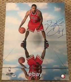 DERRICK ROSE Autographed Signed Bulls 16x20 Photo File Photo PSA/DNA COA