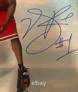 DERRICK ROSE Autographed Signed Bulls 16x20 Photo File Photo PSA/DNA COA