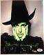Idina Menzel Signed Wicked Auto 8x10 Photo With Psa/dna Coa #1 + Pic Proof