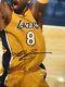 Kobe Bryant Signed & Autograph 16 X 20 Photo Come With Psa / Dna / Coa