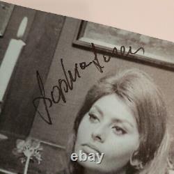 Sophia Loren PSA DNA Autograph Signed Auto Actress COA Hollywood