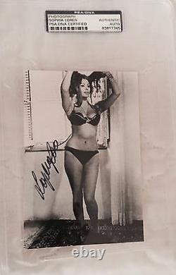 Sophia Loren Signed Photo Autographed Sexy Italian Actress Hollywood COA PSA/DNA