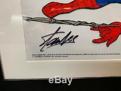 Spider-Man Deluxe signed Stan Lee Animation Cel framed Marvel With PSA/DNA COA