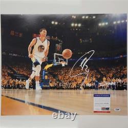 Stephen Curry signed Warriors 16x20 photo autograph PSA/DNA COA