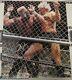 Sting & Ric Flair Signed Wwe 16x20 Photo Psa/dna Coa Picture Wcw Cage Autograph