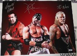 X-Pac Scott Hall Kevin Nash Signed WWE 16x20 Photo PSA/DNA COA NWO Wolfpac Auto